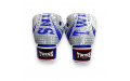 Боксёрские перчатки FBGVL3-TW5 white blue 14 oz Боксёрские перчатки FBGVL3-TW5 white blue 14 oz