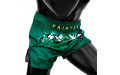 Шорты для бокса Fairtex BS1913 S