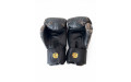 Боксёрские перчатки Raja Gold Dragon 14 oz