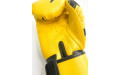 Боксерские перчатки Raja model 3 yellow 10 oz