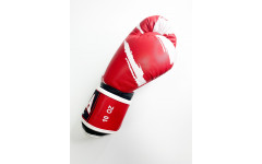 Боксерские перчатки Raja model 3 red 10 oz