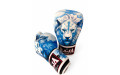Боксёрские перчатки Raja Leo Frost 12 oz