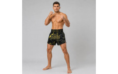Шорты для бокса Fairtex BS1947 - 2XL Шорты для бокса Fairtex BS1947 - 2XL