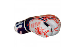 Боксерские перчатки Twins Special FBGVL4-67 Yant 10 oz