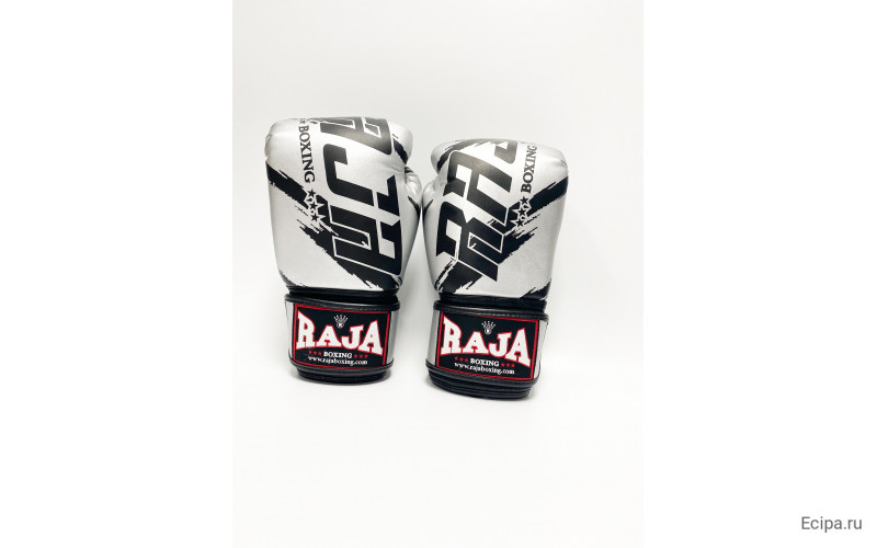 Боксерские перчатки Raja model 3 silver 12 oz