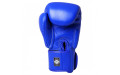 Боксерские перчатки Twins Special BGVL3 blue 20 oz
