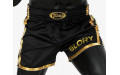 Шорты для бокса Fairtex BSG1 black gold S