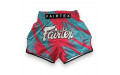 Шорты для бокса Fairtex BS1929 Street King 2 - L